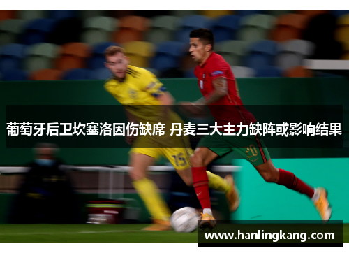 葡萄牙后卫坎塞洛因伤缺席 丹麦三大主力缺阵或影响结果